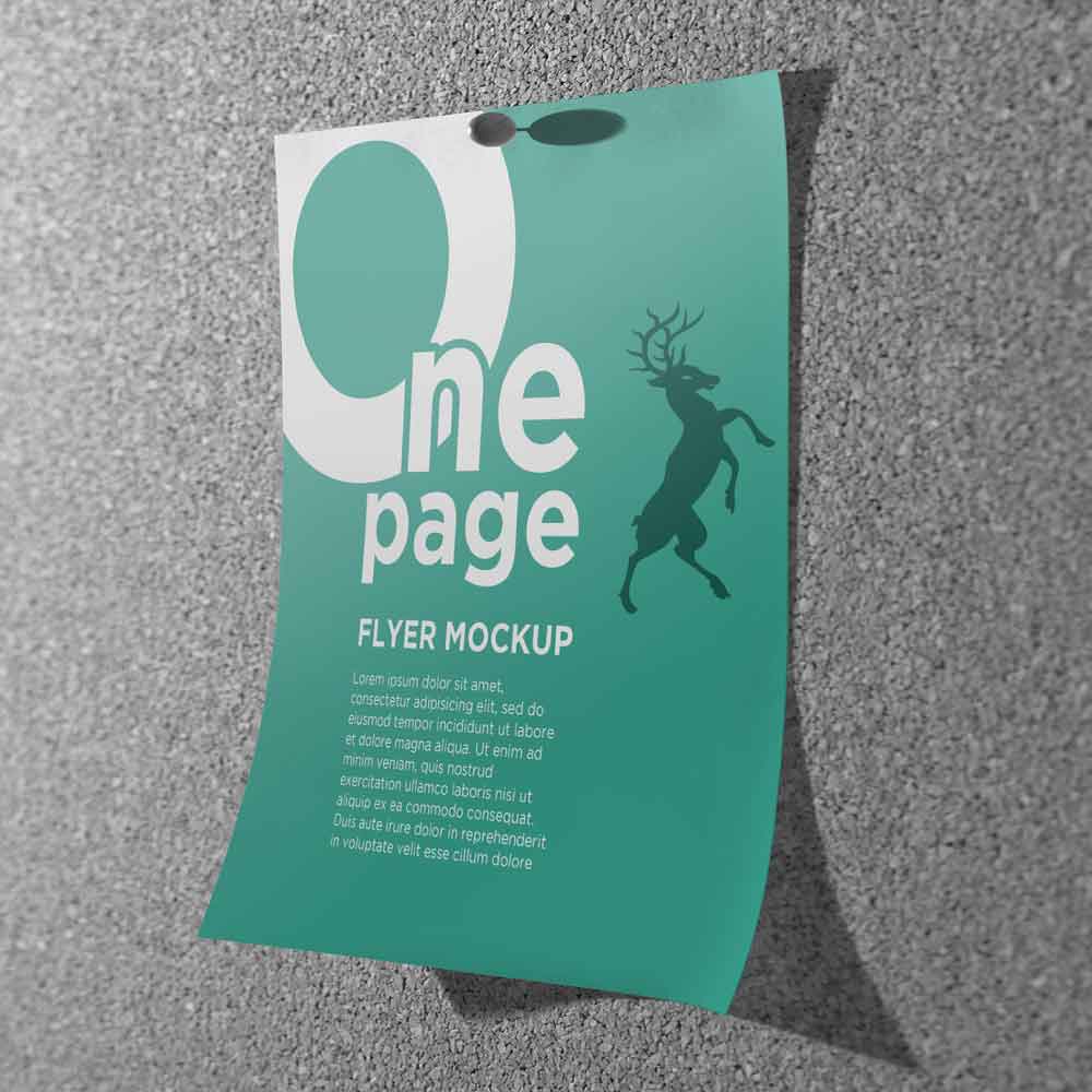 فلاير و ورق خطابات